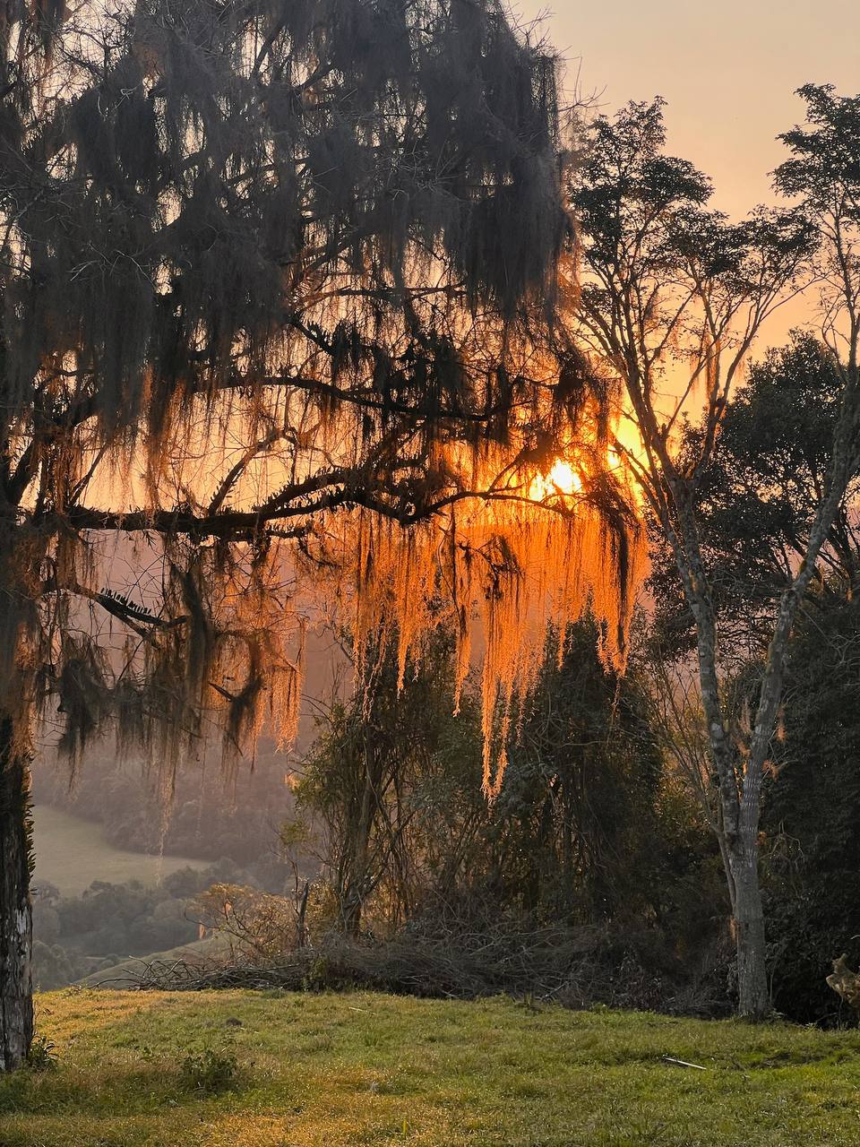 6 hectares de natureza preservada — Refúgio dos Lobos Campo de 6 hectares ao pôr do sol — propriedade rural à venda no pé da Serra Catarinense