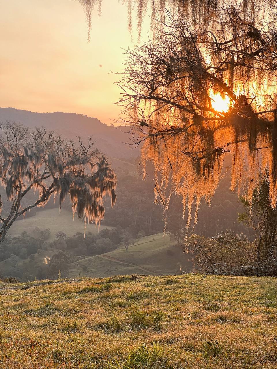6 hectares para receber família e amigos Campo verde ao entardecer — propriedade rural com 6 hectares para família em Alfredo Wagner SC